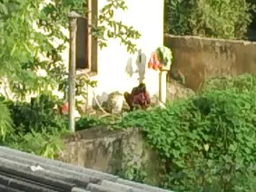 ओटेबल चूत की सुंदरता की सवारी